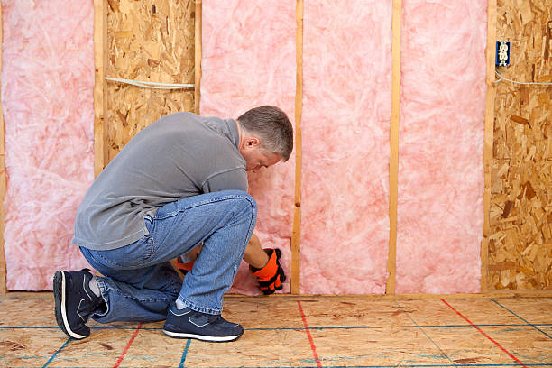 Best Cellulose Insulation  in , CO
